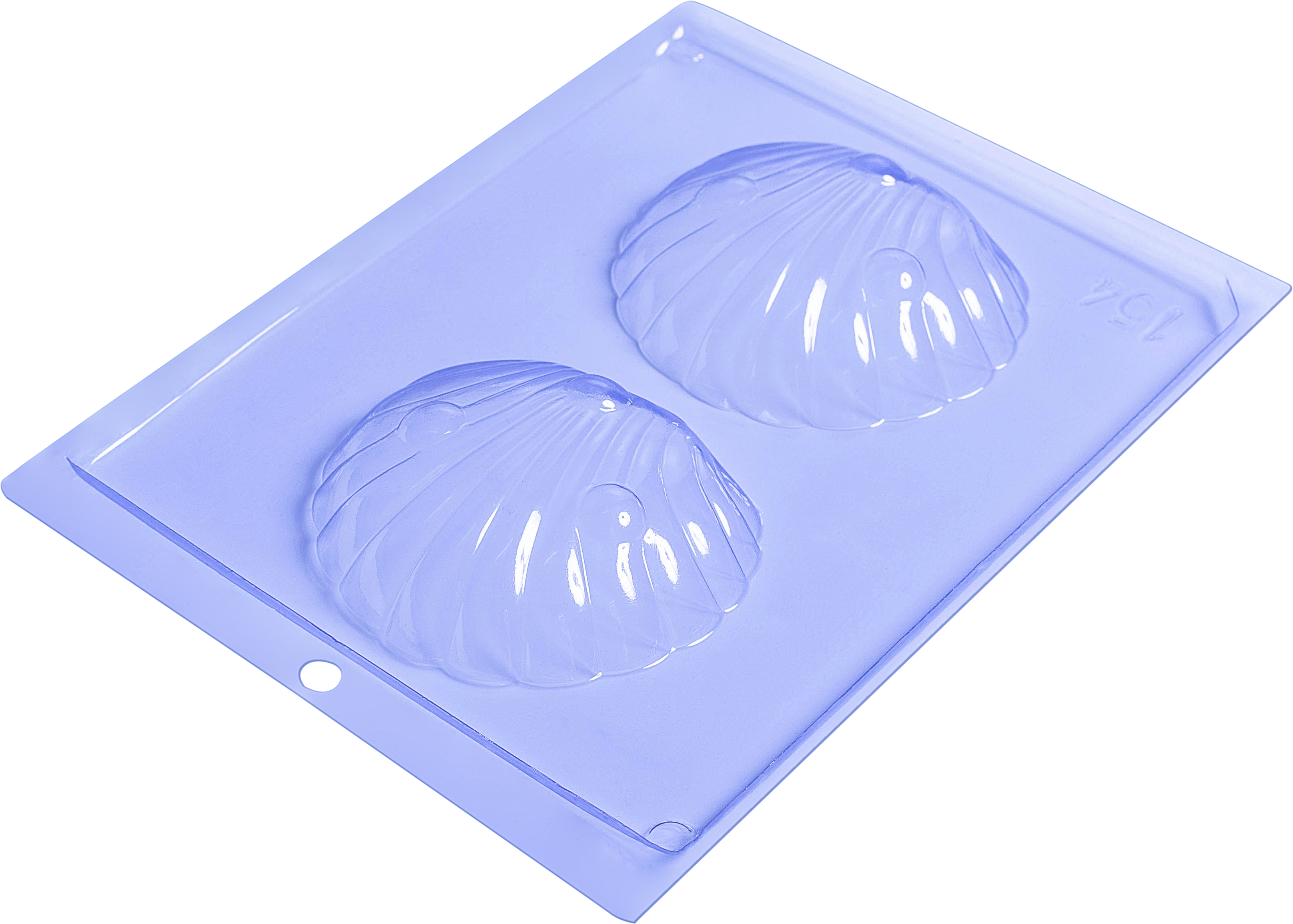 Medium Shell Chocolate Mould