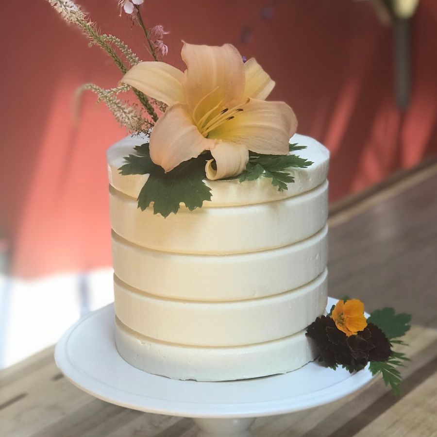 Raven - 8 inch Tall CakeSafe Cake Combs