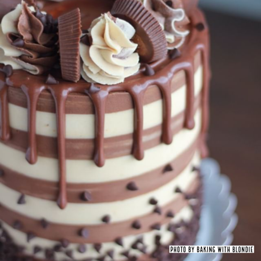 Henry CakeSafe Cake Combs