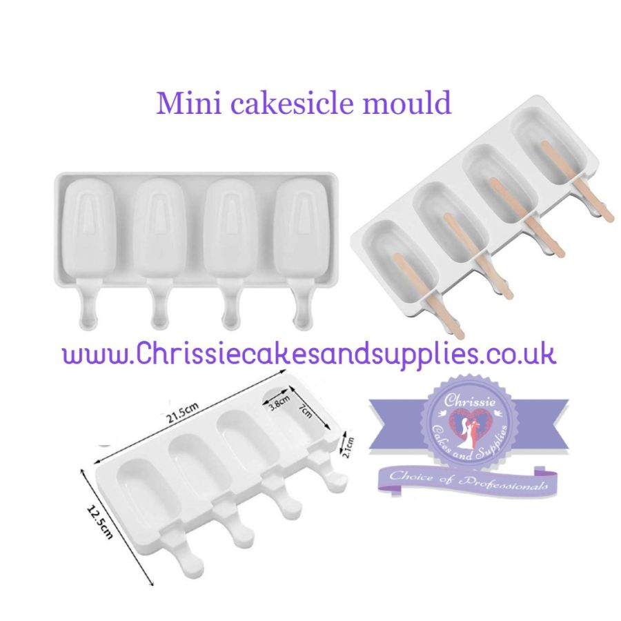 4 Cavity Mini Cakesicle Popsicle Ice cream mould