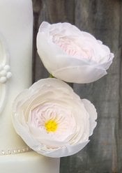 Zee Chik Austin Rose Mould