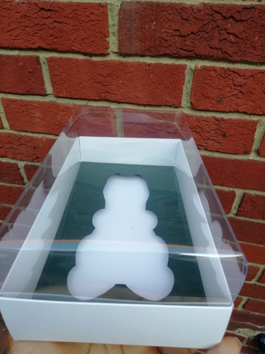 Large Dinosaur Gift Box Pack of 5