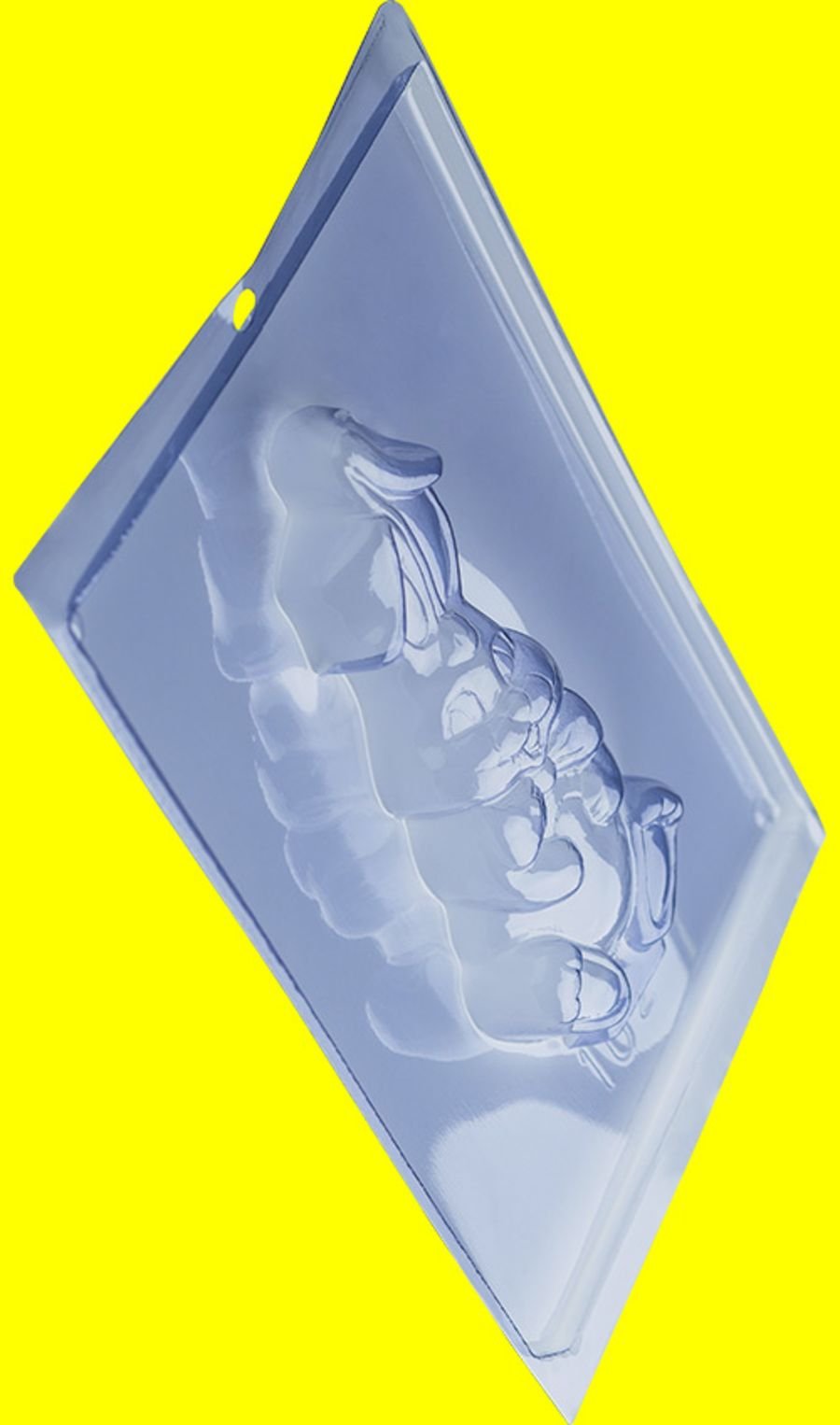 RABBIT CHOCOLATE MOULD