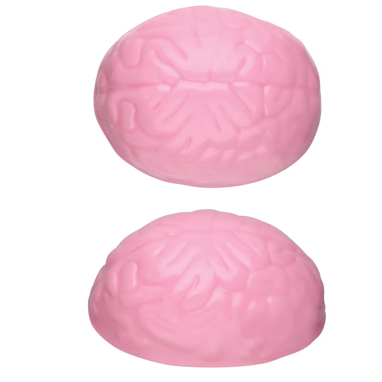 THE BRAIN CHOCOLATE MOULD