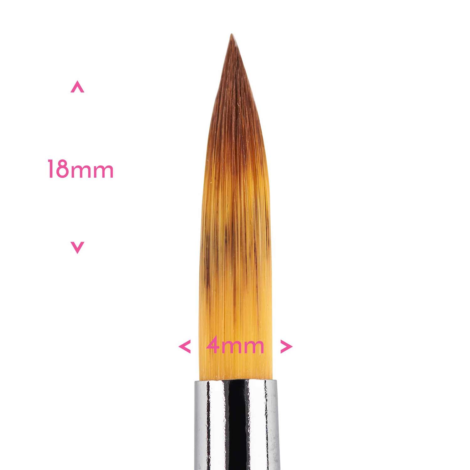 Pointed Round Paint Brush