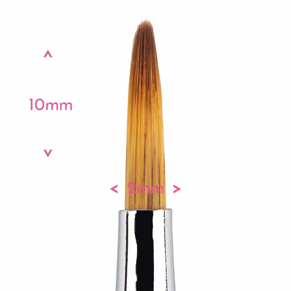 Detailed Round Paint Brush